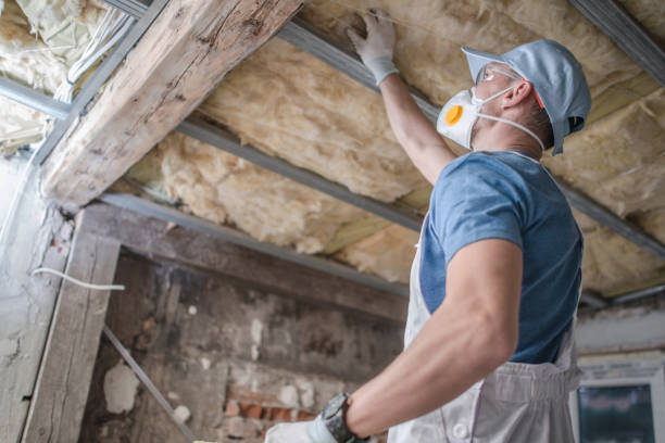 Best Cellulose Insulation in White Sulphur Springs, MT